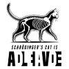 Chat de Schrödinger