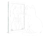 Schrödinger's Cat Alive Dead