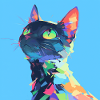 Cat, Cat Motif