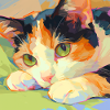 Chat, Motif De Chat