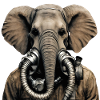 Elefant