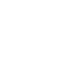 TRAVELER
