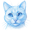 Cat Hand Drawn