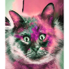 Cross-eyed cat,cat, squint,pink cat