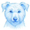dog hand drwan