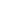 Spinz 808
