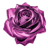 Rose, Pink, Metal, Metallic