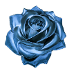 Rose, Blue, Metal, Metallic