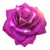 Rose, pink, Metall,,metallisch, high tech