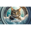 Pun ambiguous german expression – Katzenwäsche