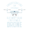 Drone Pilot