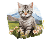 Chat Chats American Wirehair