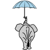 Eléphant avec parapluie Eléphants