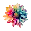 Mehrfarbige Blume 1