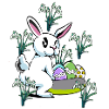 Spring snowdrop flowers Easter bunny