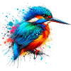 Kingfisher