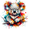 Koala