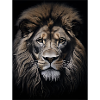 Wild 12