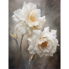 Fleurs Blanches 2