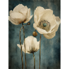 Poppies 31
