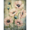 Poppies 38