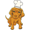 Chef chef hat dog