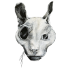 LE CHAT FANTÔME