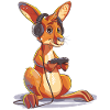 Kangaroo Video Game