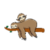 Big Brother 2024 Sloth