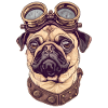 Steampunk Mops