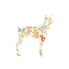 Doberman