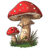 Fliegenpilz