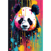 Panda Farbexplosion