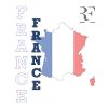 Miniature French Flag Style and Patriotism