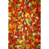 Gummy Bears (Portrait)