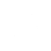 Cat, Cat Motif