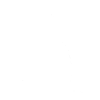 Cat, Cat Motif