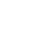 Singer