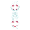 Judoka Its In My Dna