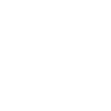 1994 Édition limitée