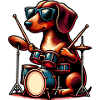 Dachshund Drummer Viennese Dog Owner