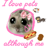 Hamster, fast food ,animals,illustration