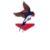 Hirondelle rustique Autriche drapeau oiseau