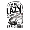 Power Saving Mode Persian Cat