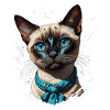 Siamese cat