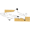 Illustration23