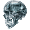 American Football X-ray Skull