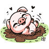 Cute piggy in the mud