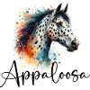 Appaloosa Pferdekopf aquarell