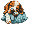 Sleeping Beagle